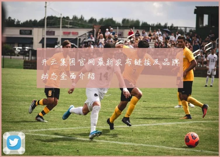 开云集团官网最新发布链接及品牌动态全面介绍