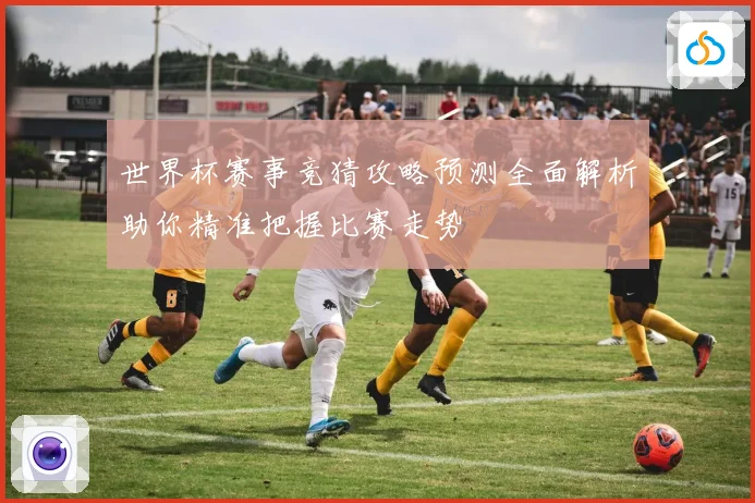 世界杯赛事竞猜攻略预测全面解析助你精准把握比赛走势